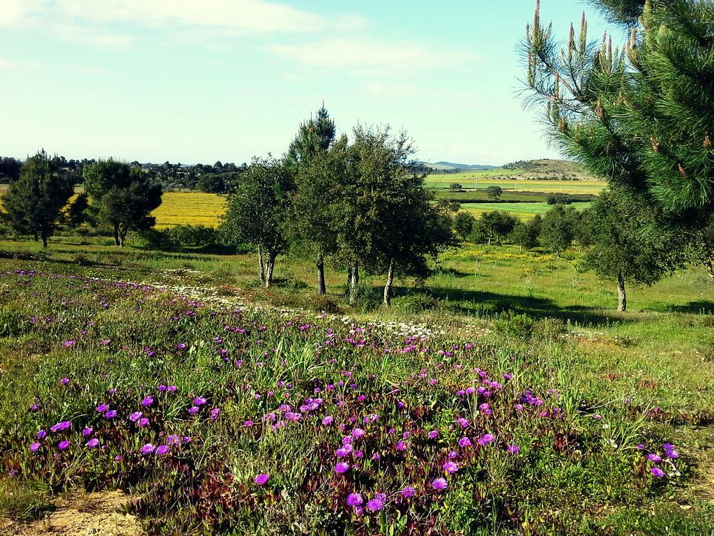 Гостьовий будинок Gotas De Luar Turismo Rural Віла-Нова-де-Мілфонтеш Екстер'єр фото